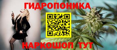 крисы Пушкино